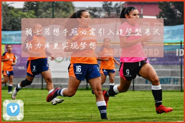 骑士若想夺冠必需引入追梦型恶汉助力库里实现梦想