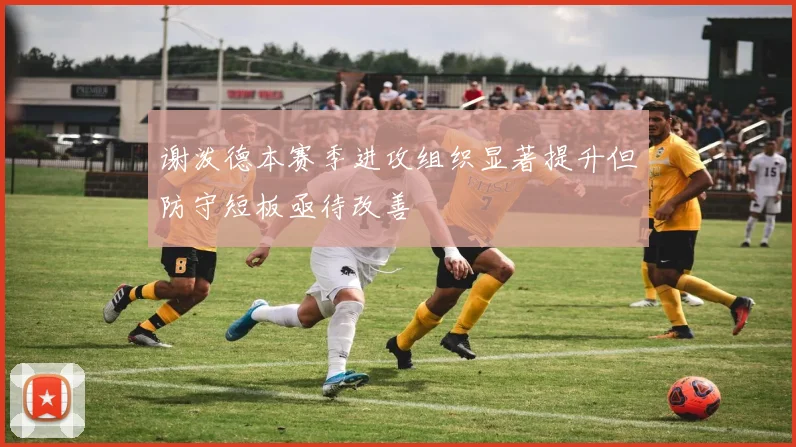 谢泼德本赛季进攻组织显著提升但防守短板亟待改善